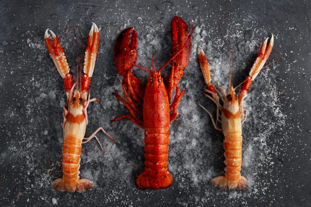 ¿Cuál es la mejor época para comer marisco?