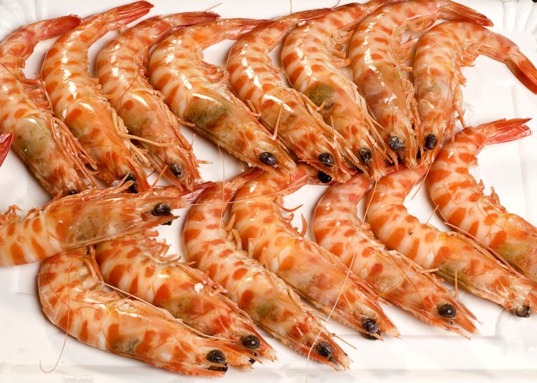 Descubre 7 maravillosas curiosidades sobre el langostino tigre: Un marisco de 10 patas y cuerpo a rayas, que no se considera depredador