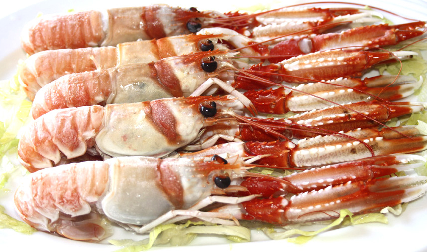La cigala de tronco es uno de los mariscos más deliciosos que existen
