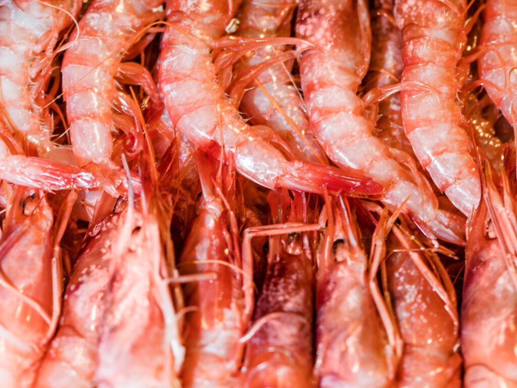 Mariscos frescos y congelados: Descubre las diferencias y qué producto se adapta más a las necesidades de tus recetas