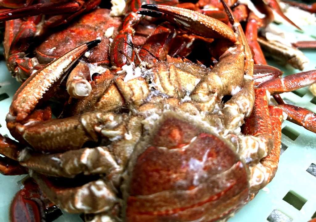 Sopa, arroz meloso o al horno: Descubre algunas de las recetas con nécoras más fáciles para sorprender a tus comensales