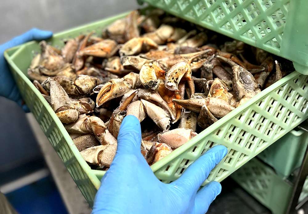 Ponte manos a la obra con las recetas fáciles de bocas rusas que te presentamos