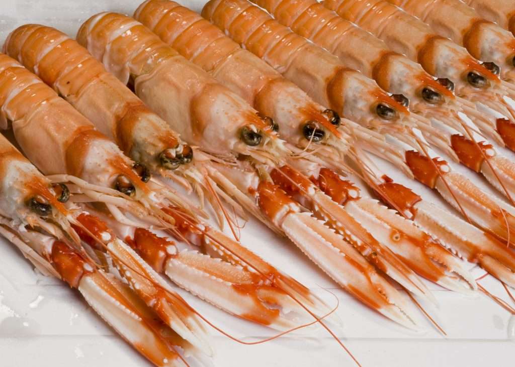Las mejores recetas con marisco para Semana Santa