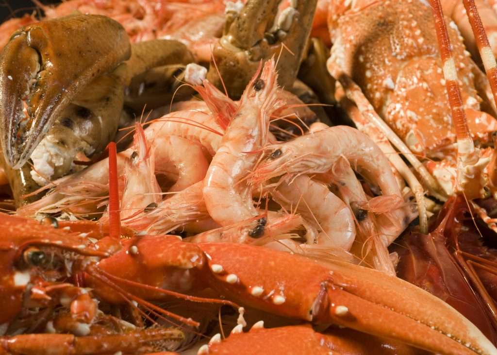 10 curiosidades del marisco que te sorprenderán