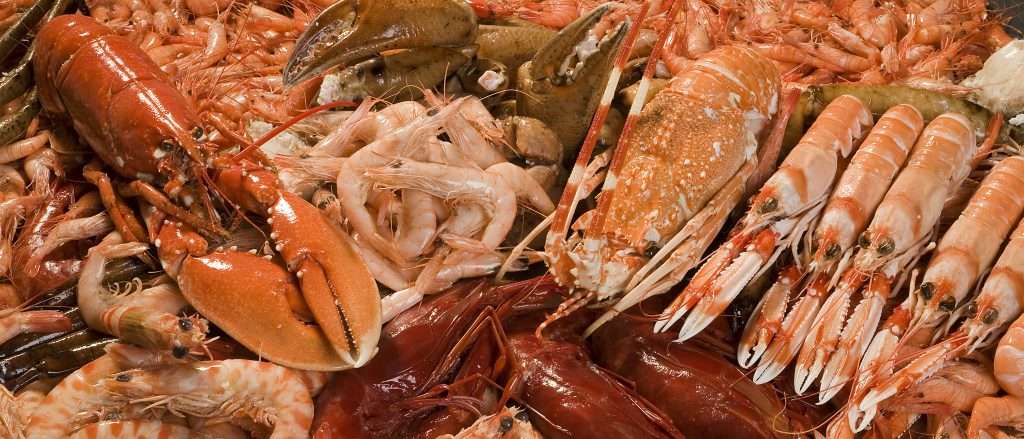 10 curiosidades del marisco que te sorprenderán