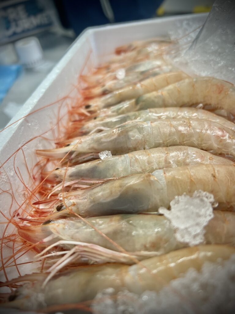 Gamba fresca de Mariscos Almeida