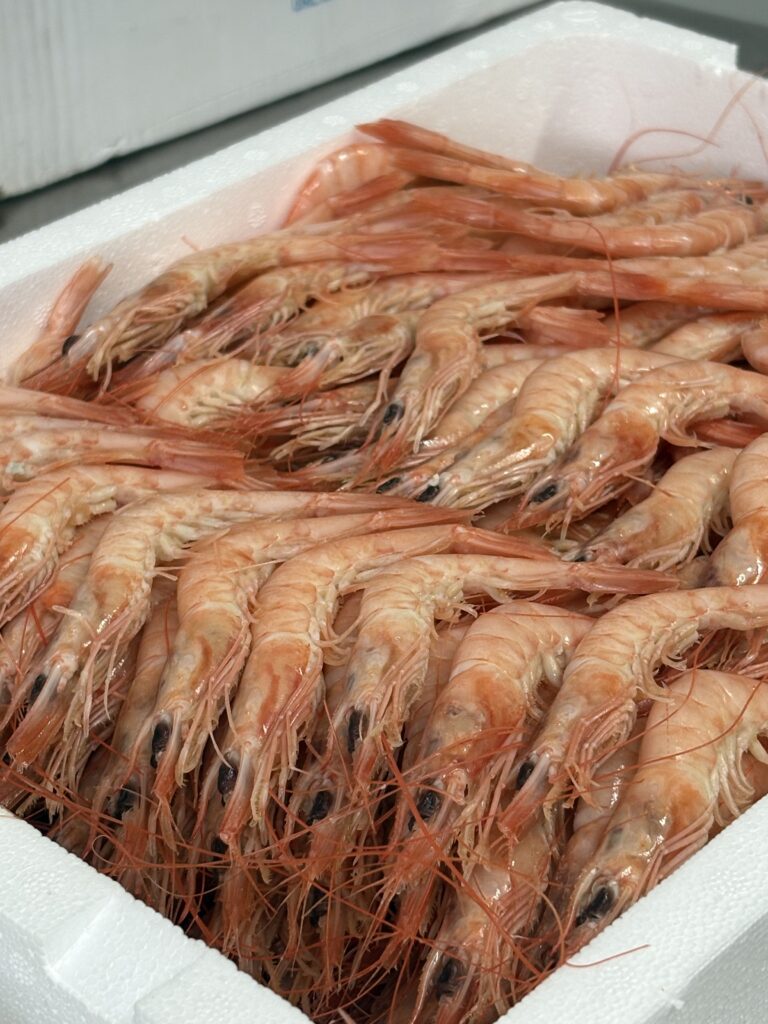 Gamba cocida de Mariscos Almeida